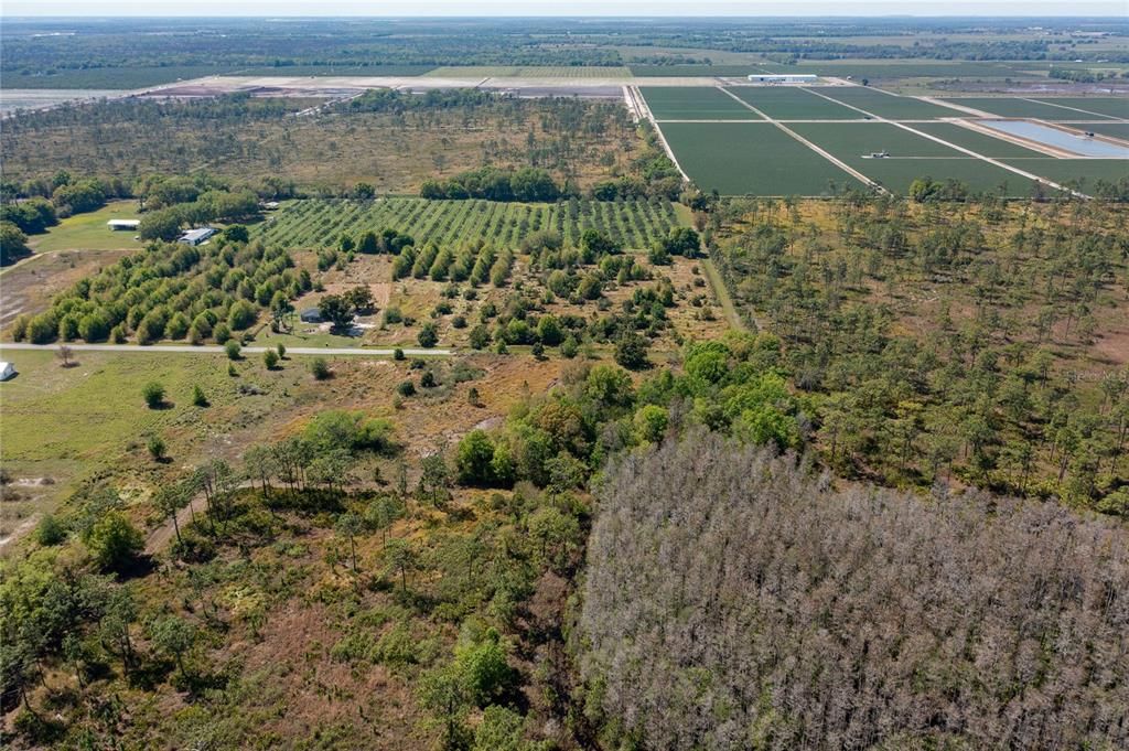 For Sale: $150,000 (5.03 acres)