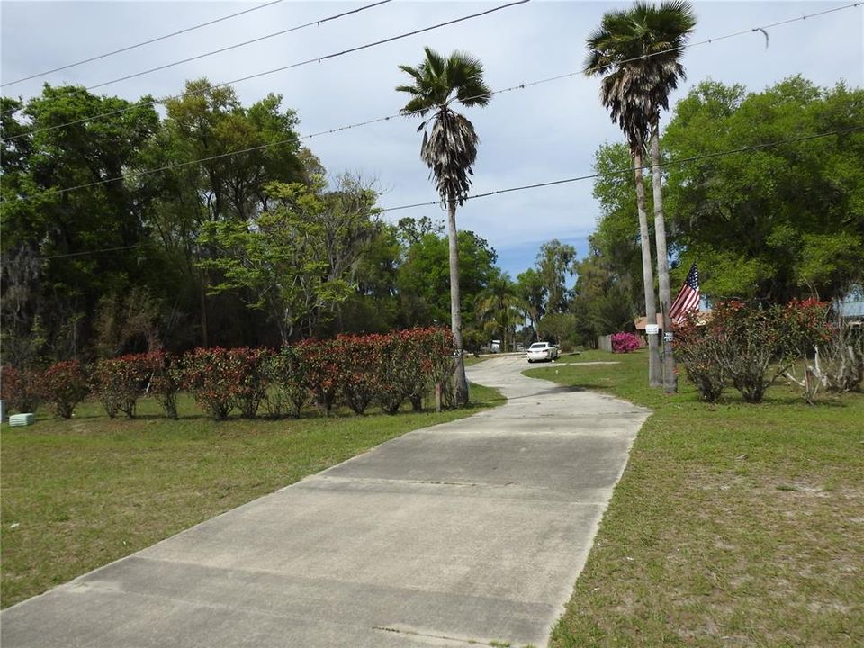 Long Driveway Lined with Palm Trees at entrance.