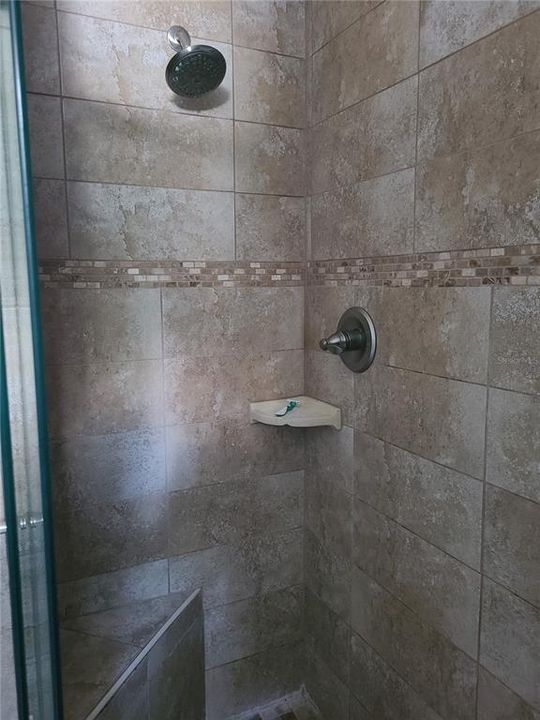 Master Bath Shower