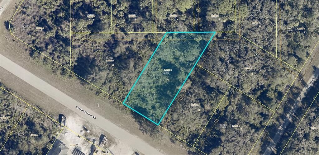 For Sale: $21,000 (0.33 acres)