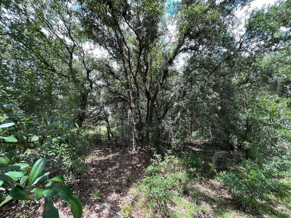 En Venta: $27,500 (0.51 acres)