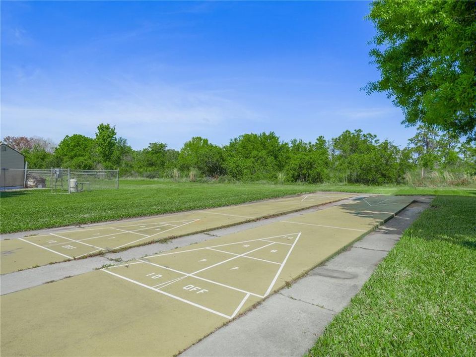 Shuffle Board