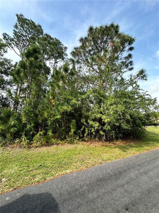 Active With Contract: $40,000 (0.23 acres)