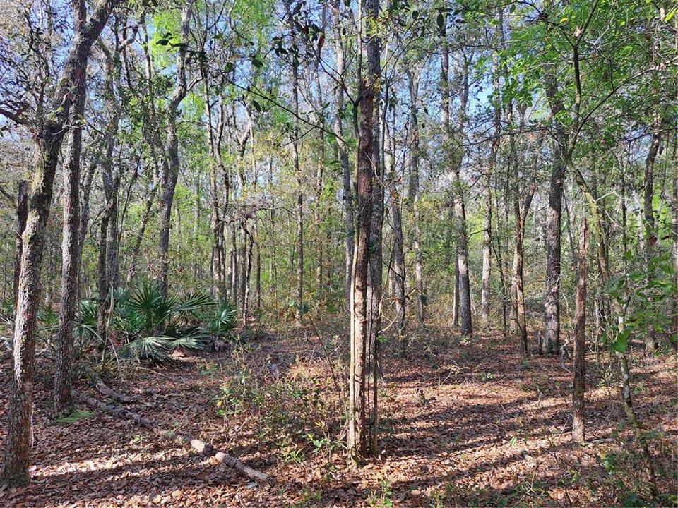 Recently Sold: $105,000 (2.14 acres)