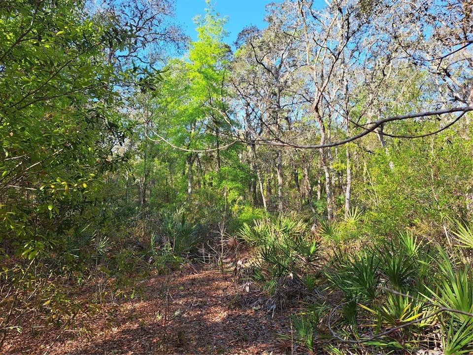 Recently Sold: $105,000 (2.14 acres)