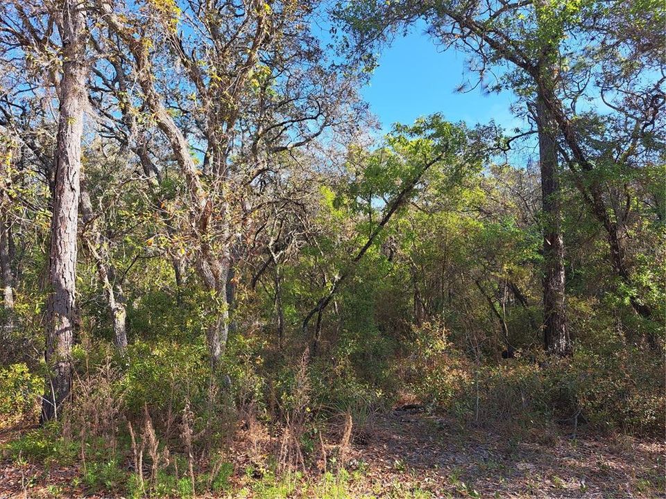 Recently Sold: $105,000 (2.14 acres)