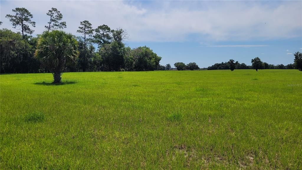 For Sale: $450,000 (22.13 acres)