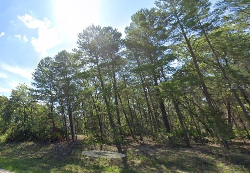 Active With Contract: $20,000 (0.23 acres)