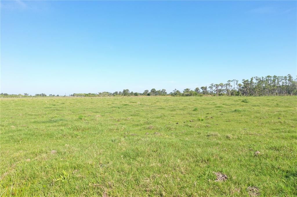 For Sale: $341,000 (20.06 acres)
