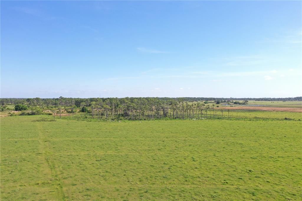 For Sale: $341,000 (20.06 acres)