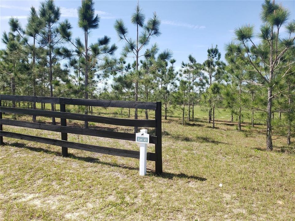 Recently Sold: $375,000 (11.25 acres)