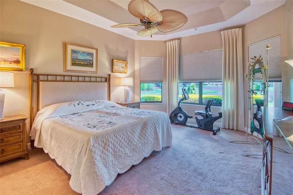 Primary Bedroom with tray ceiling and water view