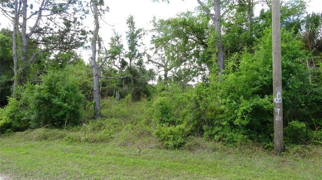 Active With Contract: $11,990 (0.23 acres)