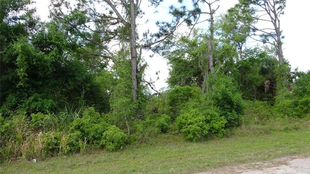 Active With Contract: $11,990 (0.23 acres)