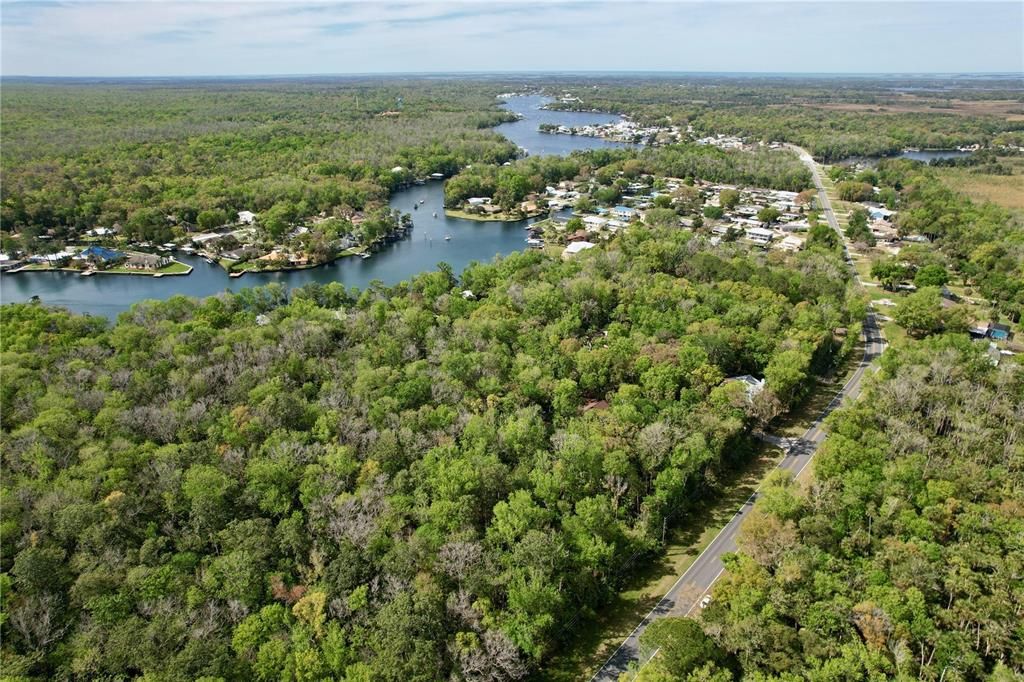 Ariel view of property between W.Halls River Rd. and Homosassa River from the East.