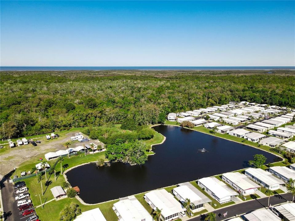 Community Pond Aerial View