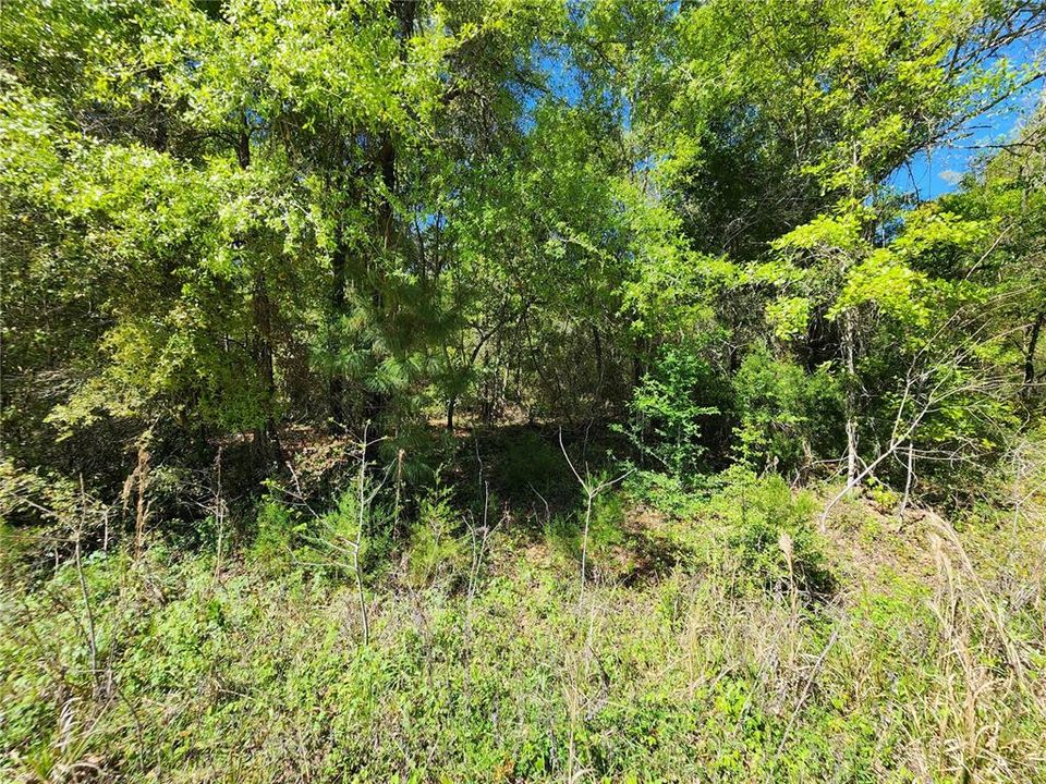 Recently Sold: $75,000 (4.81 acres)