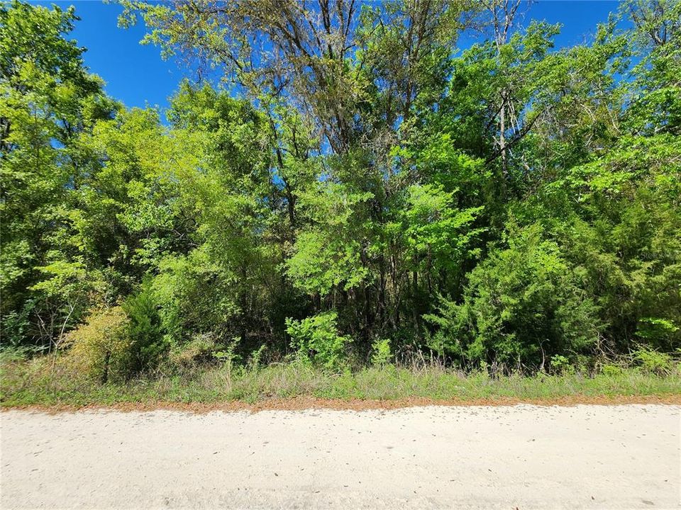 Recently Sold: $75,000 (4.81 acres)