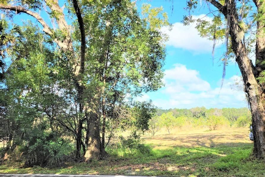 En Venta: $1,500,000 (19.40 acres)