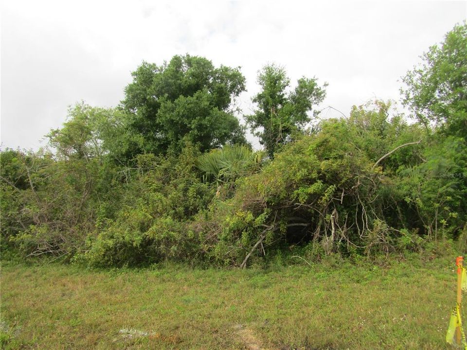 Active With Contract: $25,000 (0.26 acres)
