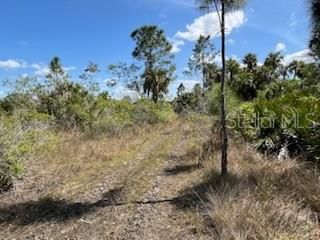 Road on island.