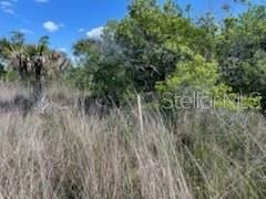 Stake marks a general location of the SE corner of the property.  Survey will determine boundaries.