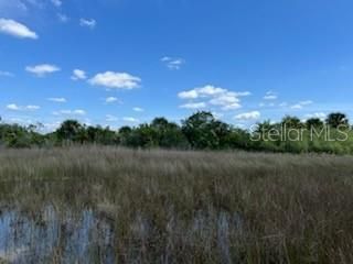 View to the east to the road berm. Wetlands between island and berm.