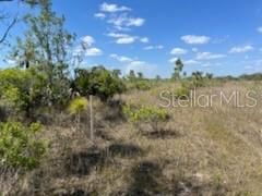 Stake on island marks a possible location of the north boundary of the 5 acres.  A survey will determine the exact location.