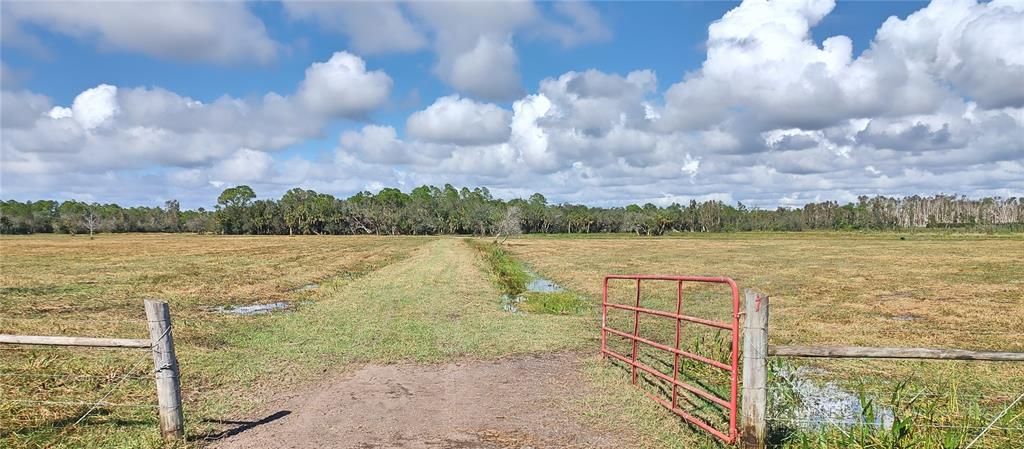 For Sale: $429,000 (41.52 acres)