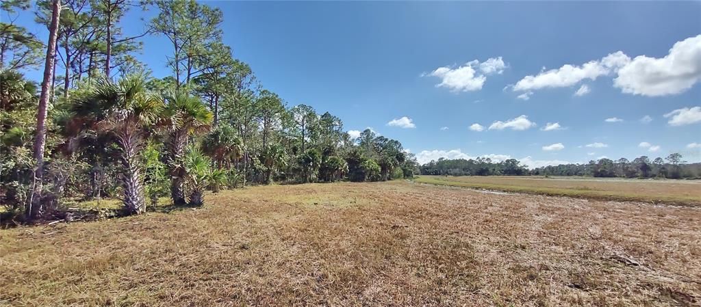 For Sale: $429,000 (41.52 acres)