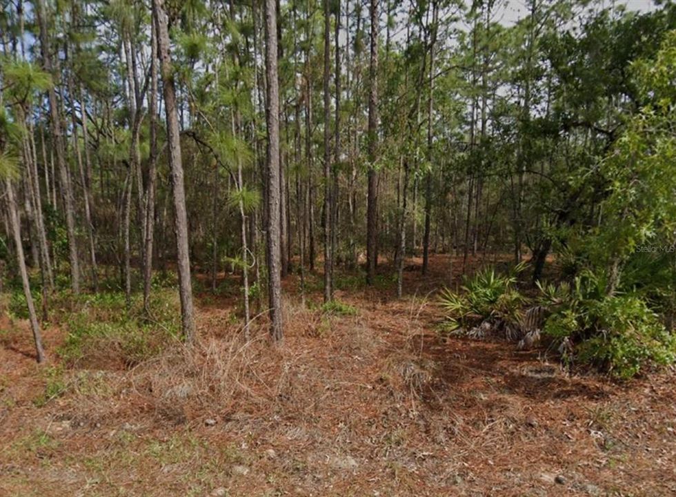 Active With Contract: $35,000 (0.30 acres)