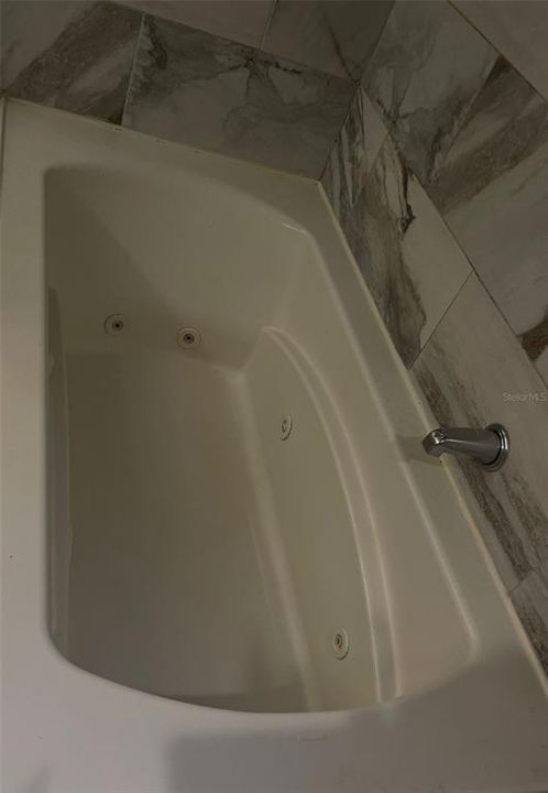 master bath jetted tub
