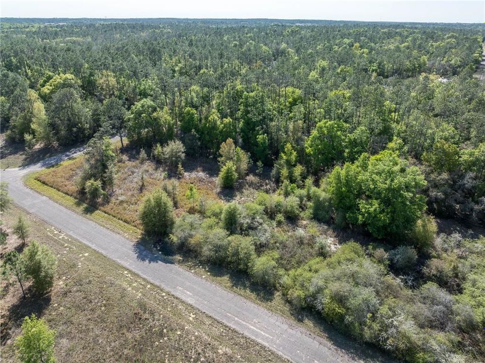 For Sale: $18,000 (0.39 acres)