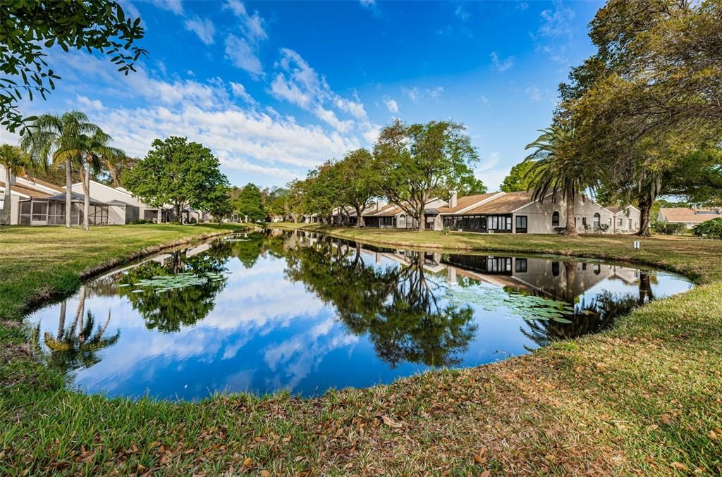 For Sale: $469,000 (3 beds, 2 baths, 1659 Square Feet)