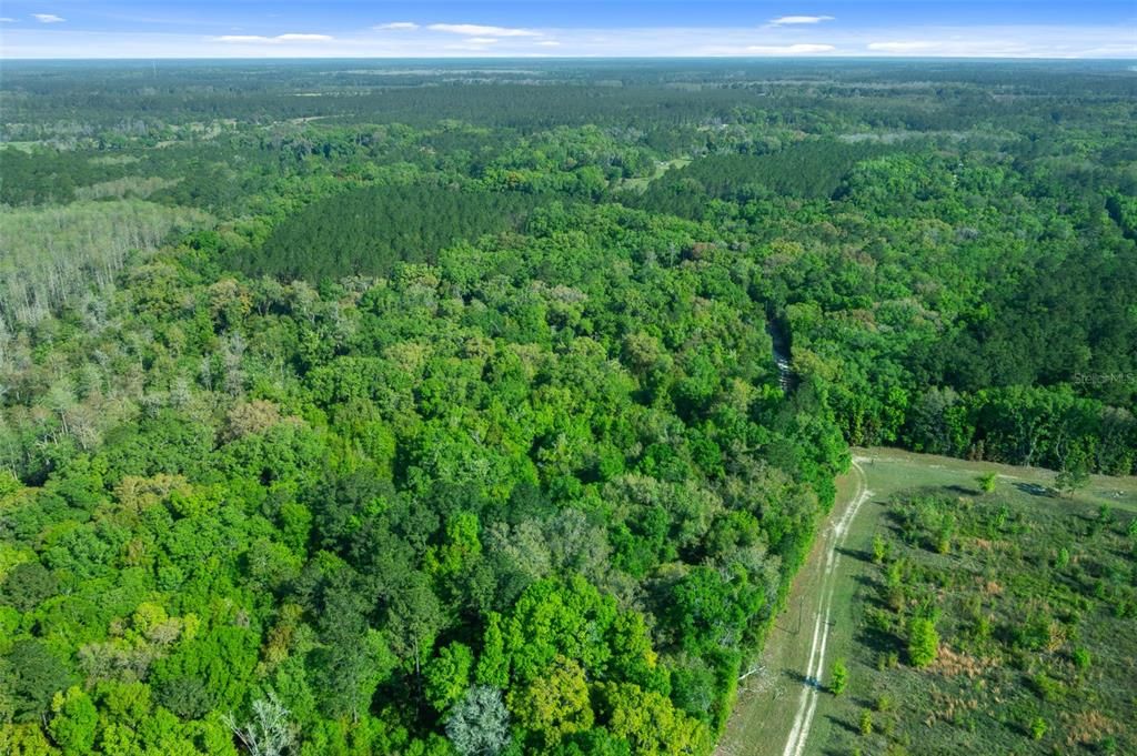 For Sale: $625,500 (68.50 acres)