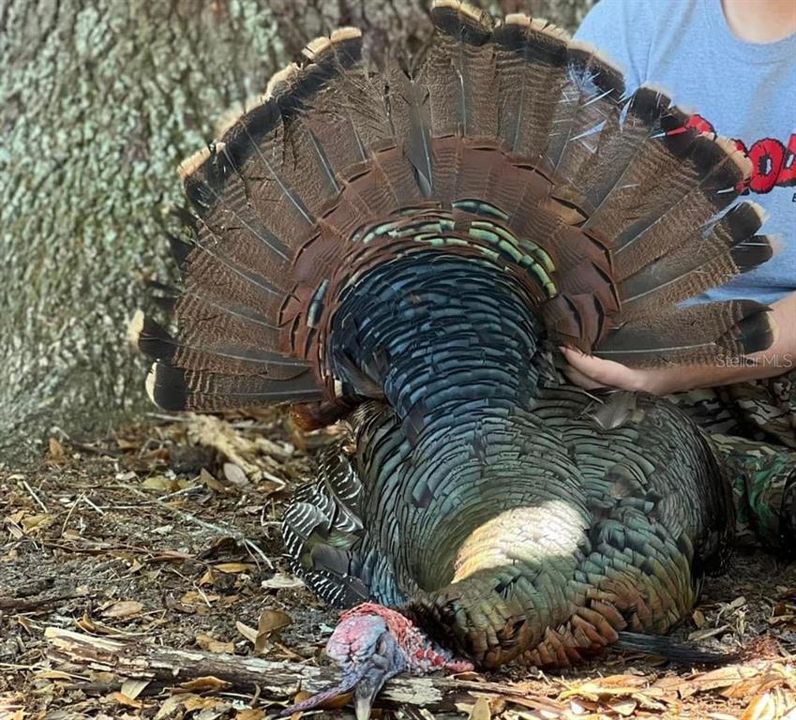 Spring Gobbler 2023