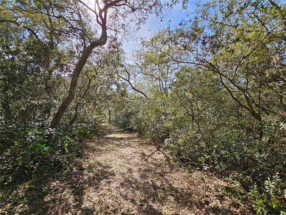 Recently Sold: $169,000 (9.68 acres)