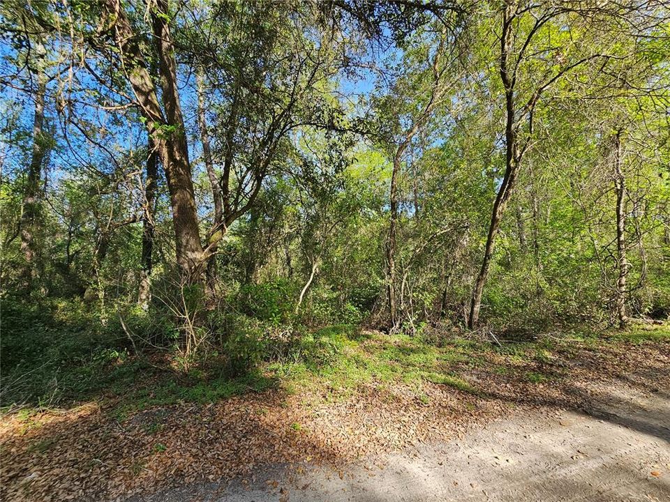 Recently Sold: $169,000 (9.68 acres)