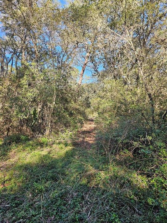 Active With Contract: $129,000 (9.75 acres)