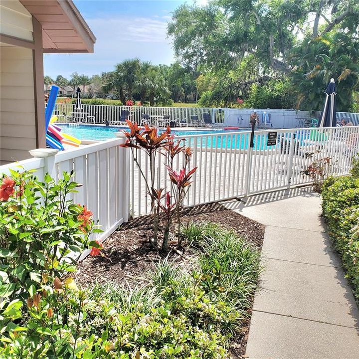 walkway to pool is paved from the building