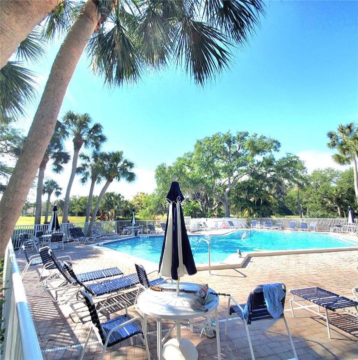 Bird Bay Village is a resort -like community where you can live like your on vacation. There are a lot of amenities and activities at the main clubhouse just down the street. Pickleball, tennis, shuffleboard, fitness center and more.