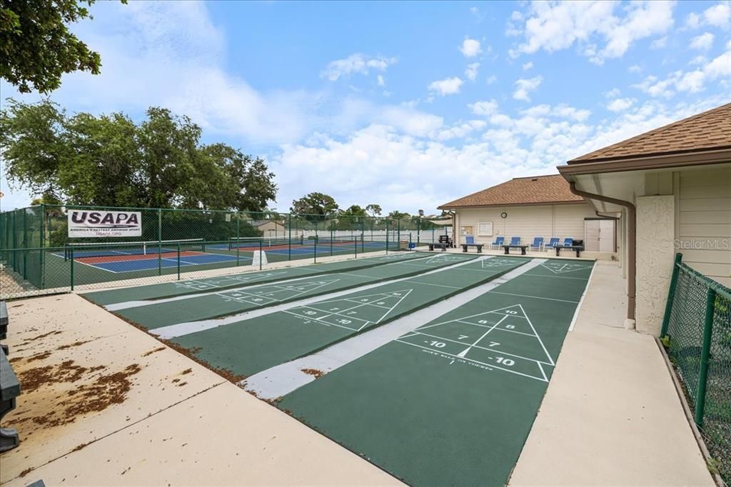 shuffleboard and pickleball