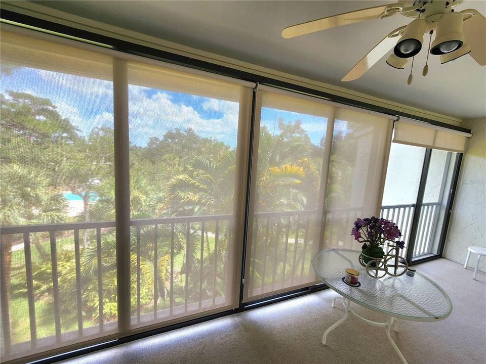 sliding glass doors in front of the screened lanai and shades that you can see through help keep you out of the elements when weather is less desirable. (pollen, wind, bugs,etc)