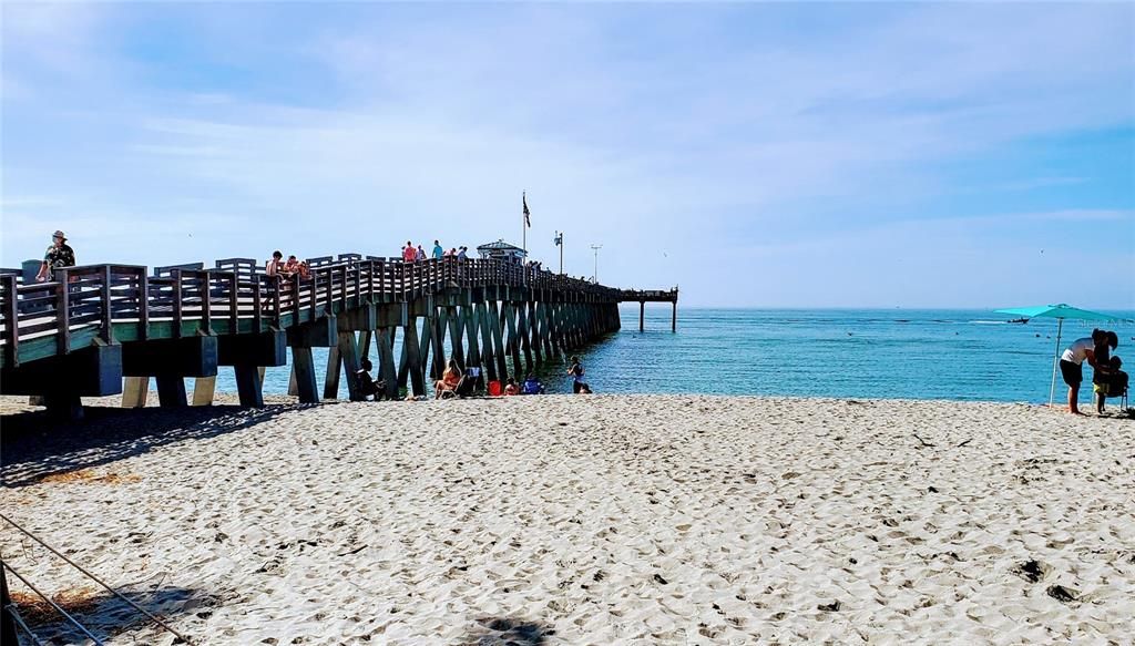 sharky's beach and Venice fishing pier