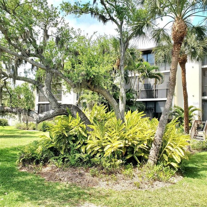 View from the pool to the back of the building near your lanai