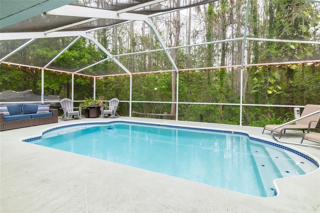 Private backyard overlooking conservation.