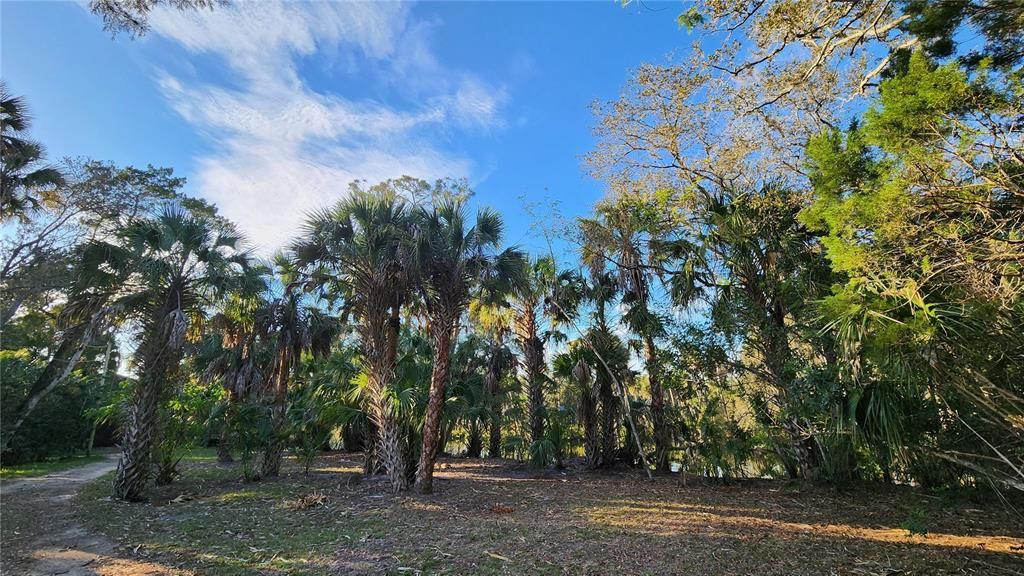 For Sale: $399,000 (3.20 acres)