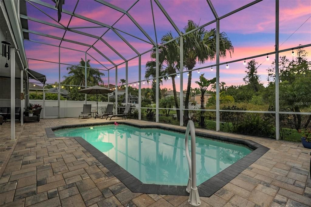 Swimming pool at night, conservation and Pond lot, pavered lanai, plenty of covered space.