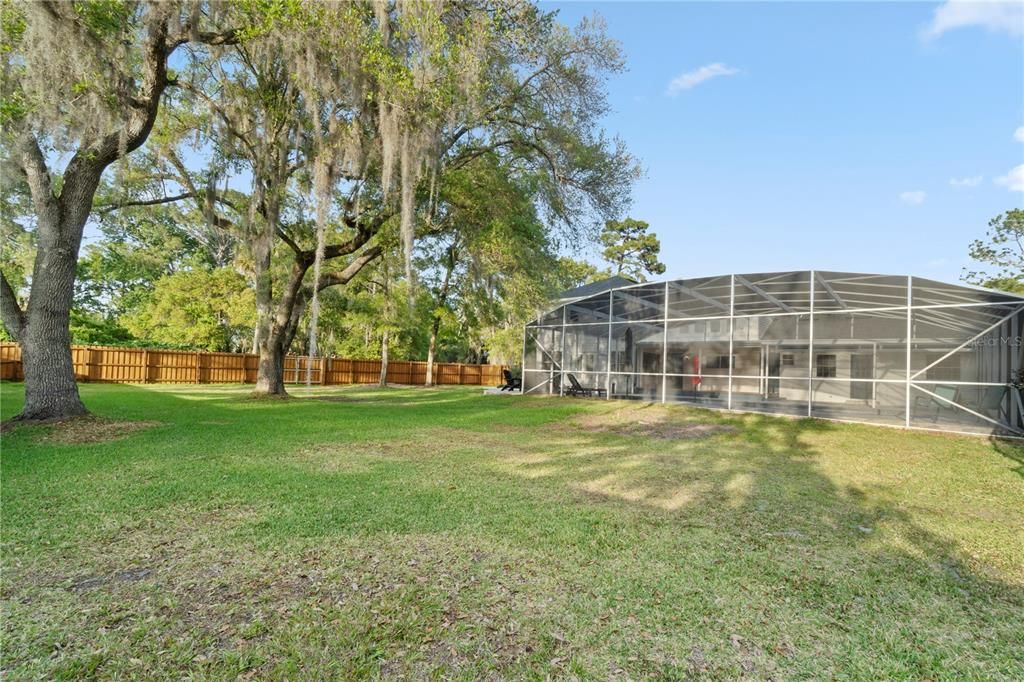 This expansive backyard is enclosed by a brand-new privacy fence adorned with market lights, creating a stunning ambiance.