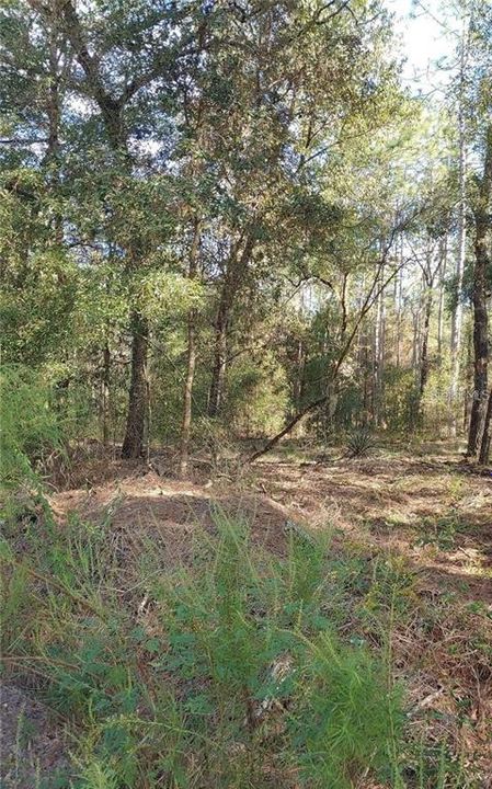 Recently Sold: $17,900 (0.50 acres)